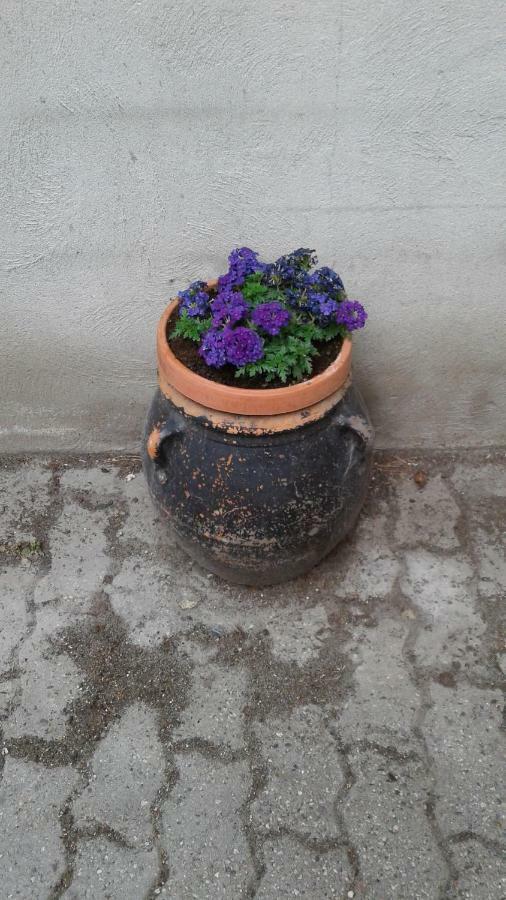 Martorey Cir 10 Verrès Zewnętrze zdjęcie